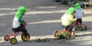 さくらんぼ　自転車のしっぽ