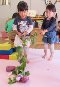 のいちご　芋ほりごっこ