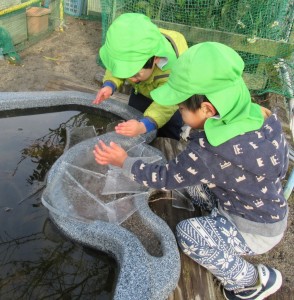 池の氷を割る