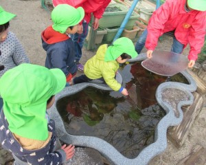 池の氷