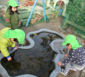 池の氷諸々