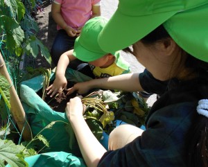 2歳児さ・植える1