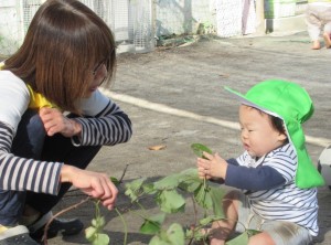 0歳児いものつる　2