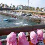 水族館①