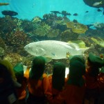 水族館①